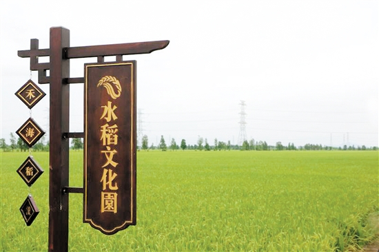 首届中国农民丰收节:在侨乡田野唱响庆丰收乐