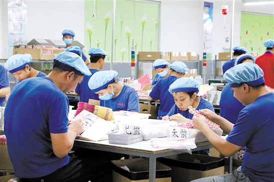 江门三级结对加四级挂扶 夯实脱贫攻坚基础