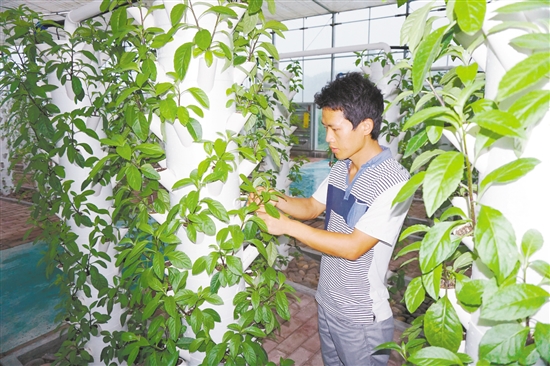 加快实施乡村振兴战略 :三年投入超30亿元 实现