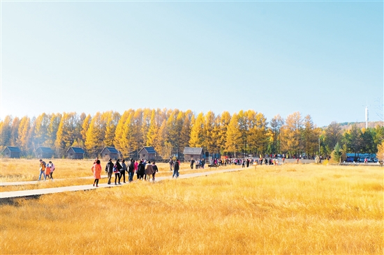 中秋、国庆临近 赏秋线路涨幅较大