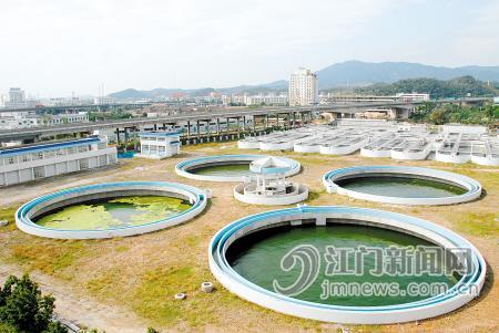 怎么养鱼池能净化水质 W020091116417413120937.jpg