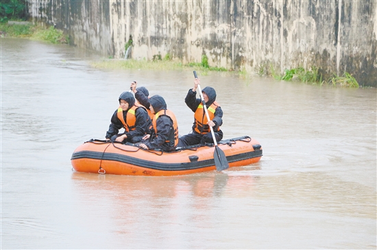 巡查队员划着汽艇，从新桥水上游顺流而下，从河上检查河边各排污口情况。