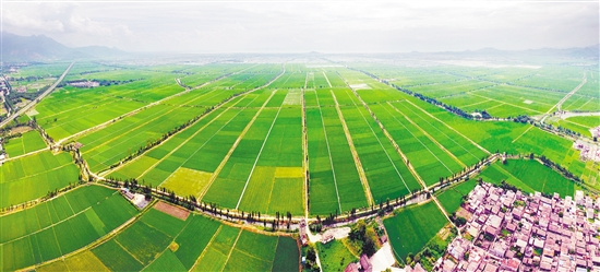 广东省首个中国农业公园明日开园 休闲农业与
