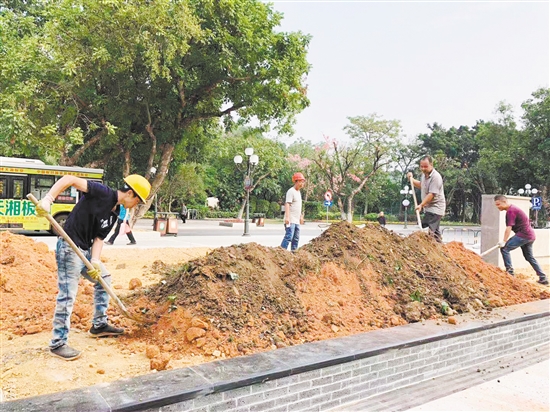冈州宾馆前,施工人员正在填土,准备补种绿化。