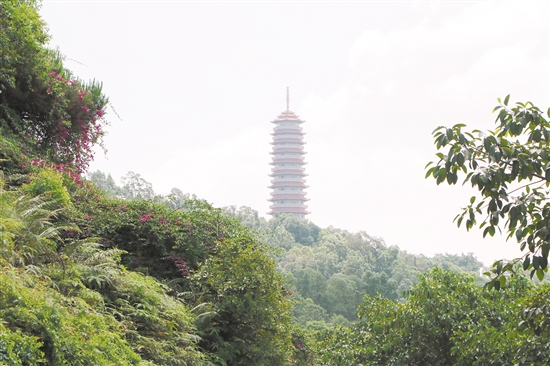 明园森林都市入住人口_明园森林都市小区租房,二室二厅,明园森林都市5800精装(2)