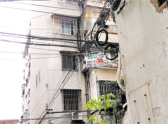 在华园社区,宽带“牛皮癣”随处可见。 在华园社区,宽带“牛皮癣”随处可见。