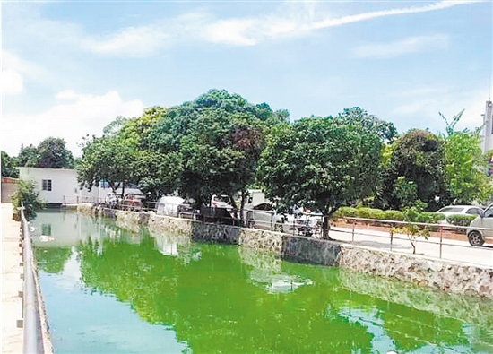 在本轮突出问题集中整治行动中，梅江村全面落实长效保洁机制，重点对村道小巷等重点地段卫生死角进行排查整治，对各主次干道进行全面清理整治，整治后，村居环境明显改善。