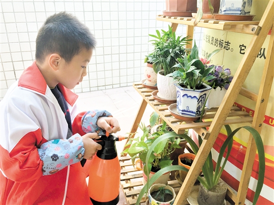 麻二金紫学校学生：“我为绿植浇浇水”。