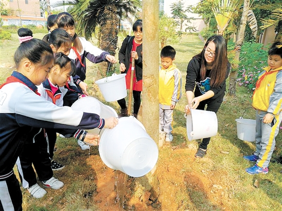 江海区新民小学的师生们一起为大树浇水。