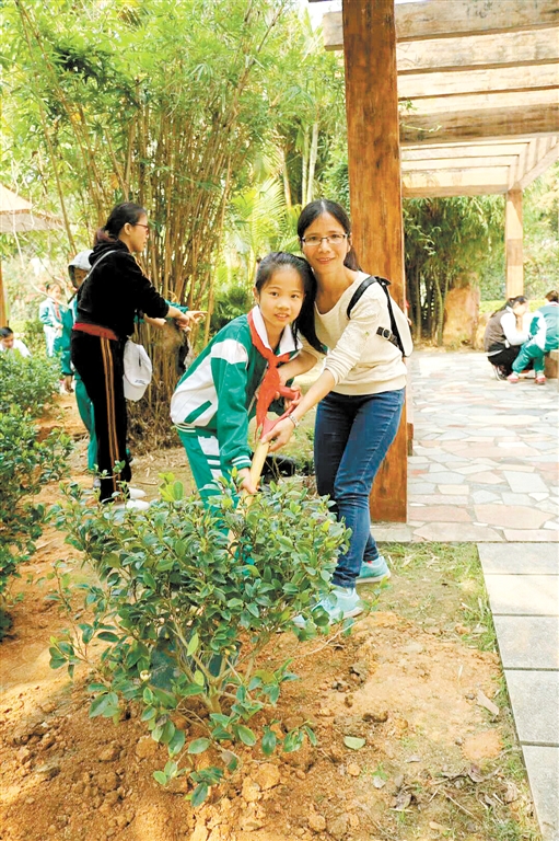 培英小学家长和孩子一起种下小树苗。