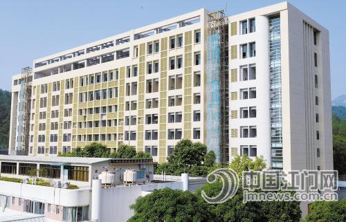 新会区:工作重心下移 经济发展上扬-走群众