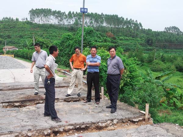 双合镇双桥常住人口_双桥坪镇