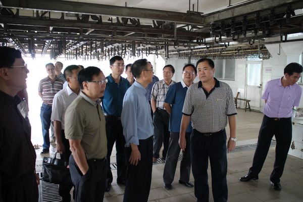 市领导视察肉联厂时要求规范生猪屠宰管理-部