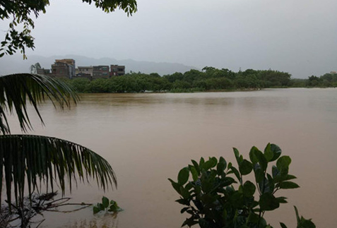 江门市民政局积极开展今年第4号台风 艾云尼