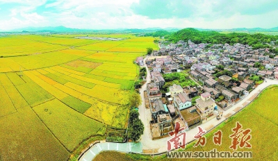 微信图片_20190807084800.jpg