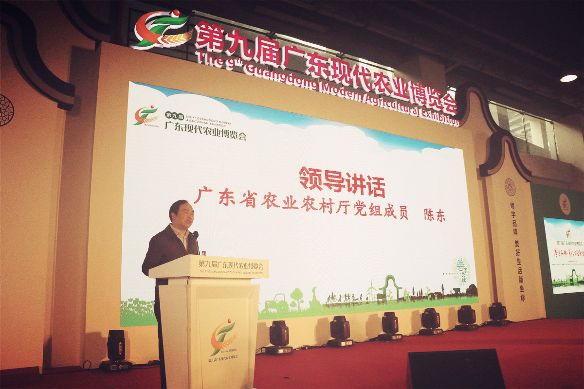 陈东.jpg