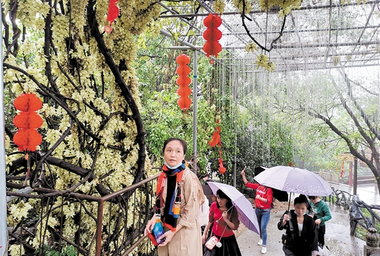 新会大方旅游短线游：玩乐美食一站搞定
