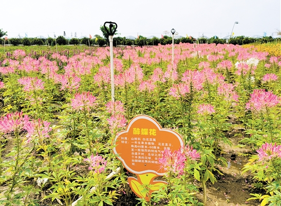 微信截图_20210310091934.png