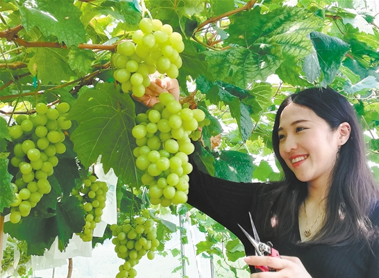 微信截图_20210721084803.png