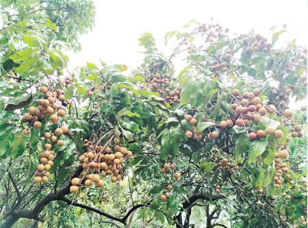 微信截图_20210804101231.png