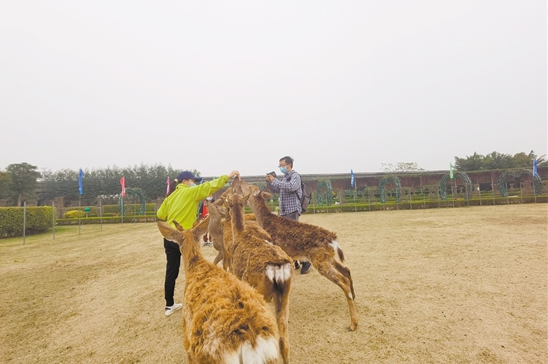 微信截图_20220224092314.png