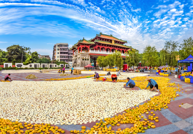 李样尊 摄