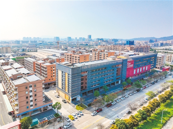 江海区锚定高质量发展首要任务加快建设 推动江门大型产业集聚区江海片区发展迈上“快车道”_高新江海资讯_江门市人民政府门户网站