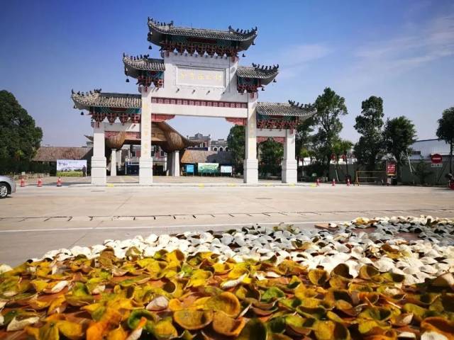 彭伟宗 摄