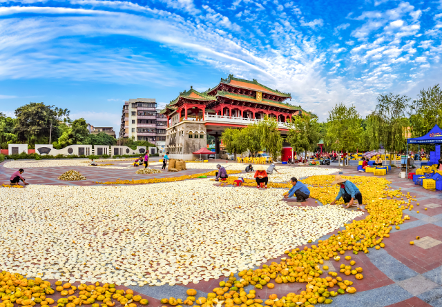 李样尊 摄