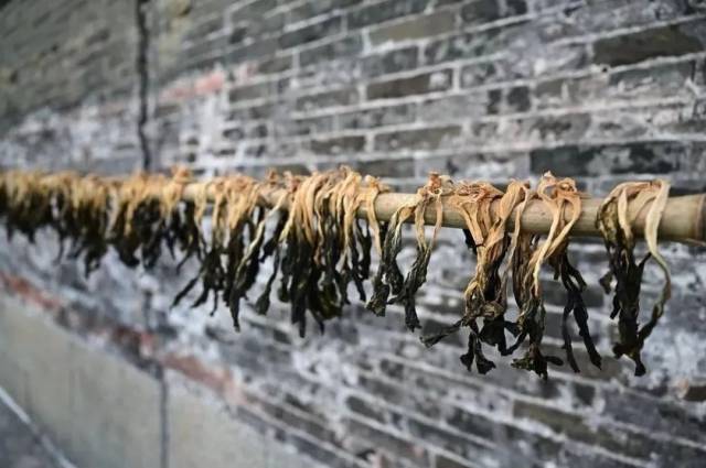 图源：三江发布
