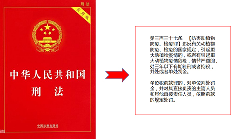 经营养殖"竹虫""东亚飞蝗"不可取!