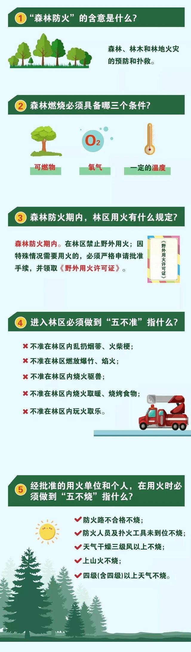 一枝一叶总关情 护林防火伴我行