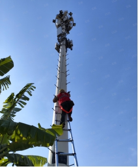 250117科技赋能让偏远林区不再“偏远” (1).jpg