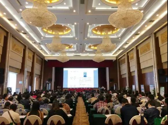 恩平海外联谊学校校本课程建设结硕果1.jpg