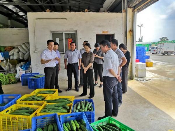 省供销社主任叶梅芬到我市调研