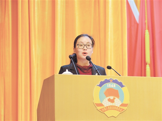 市政协十三届三次会议:抢抓大湾区机遇加快发